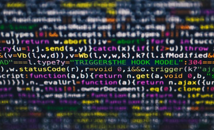 display coding programming development