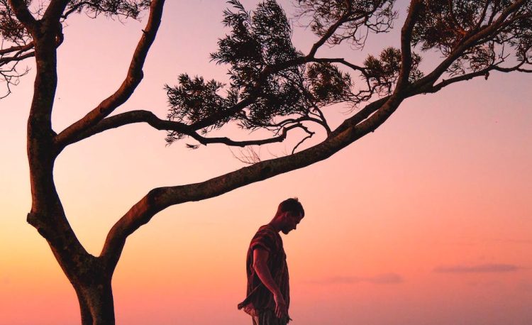 a photography of a man standing on a tree