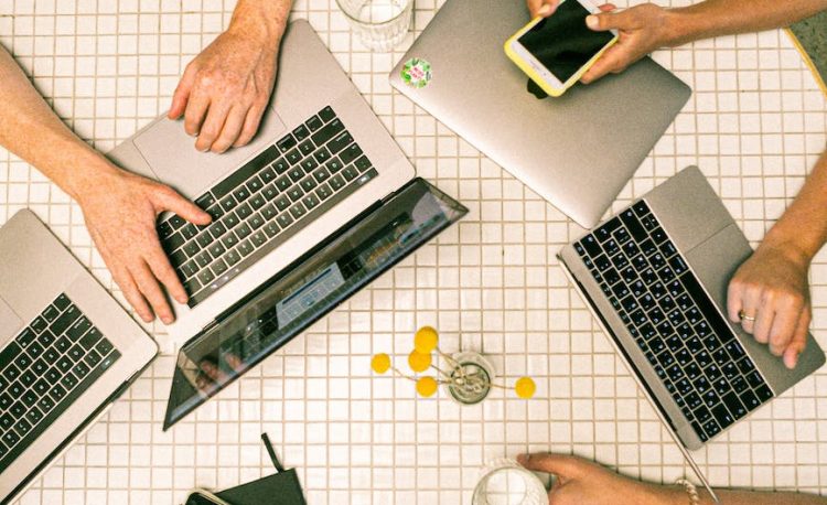 photo of people using laptop